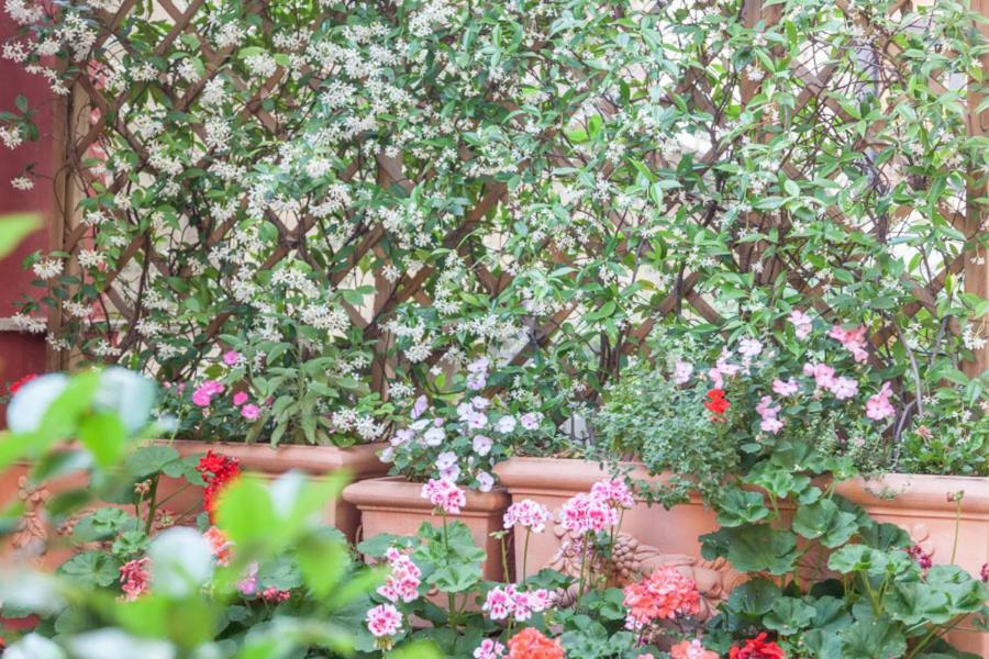 Hotel Monti Garden Rzym Zewnętrze zdjęcie
