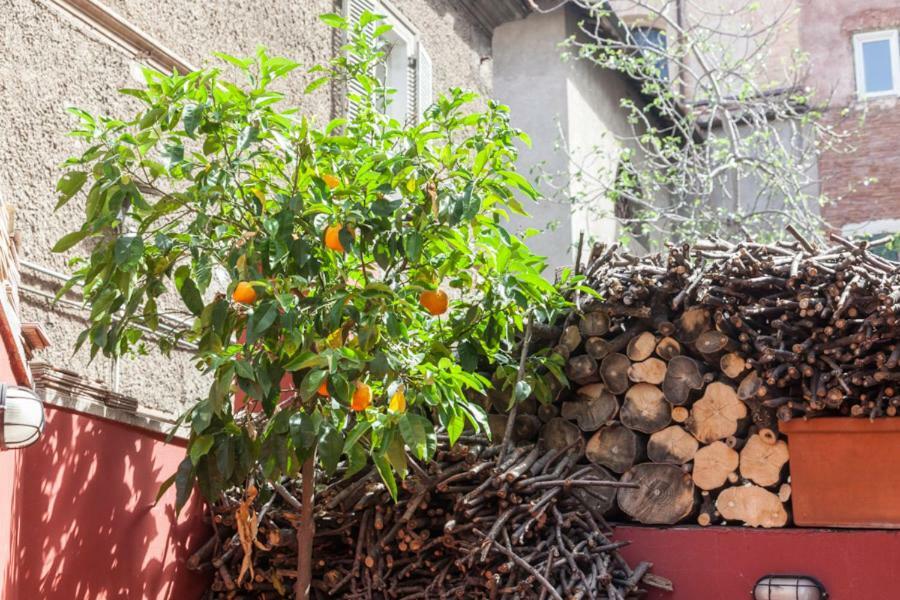 Hotel Monti Garden Rzym Zewnętrze zdjęcie